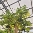 수채화별당 이미지