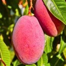 귀농귀촌지원센터 (옥내1) | 노후준비 귀농귀촌 성공비결