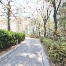 금돼지공인중개사사무소 이미지