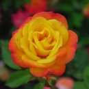 리각 미술관 이미지