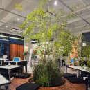 평거식당 이미지