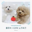 플로피 - 하남시 미사대로 540 | 강아지 노즈워크 장난감 추천 플로피 사과쏙 후기 최애 등극