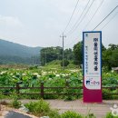 푸른솔 골프클럽 포천 이미지