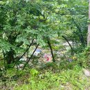 한재골(광장) 이미지