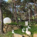 지리산정원 유아숲체험원 이미지