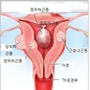 이룸의원 이미지