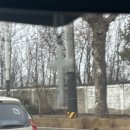 경희어울림한의원 | 3.19 오늘일기