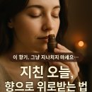 [퇴근길] 아로마테라피 | 도테라 에센셜오일을 이용한 아로마테라피