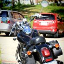 데이스타 이미지