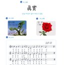 신양중학교 이미지