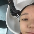 피오레염색 애쉬브라운 후기, 장원영 머리색 느낌이라 염색 추천