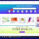 체크홀릭