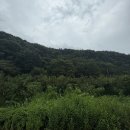 노령산장 네이버블로그