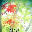 란다방 - 거제시 거제남서로 3089 | 란다방