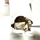 투썸플레이스 익산부송점 | 투썸플레이스 신상 오벌 티라미수 가격 솔직후기