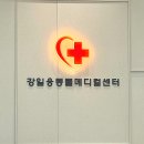 울산 강일웅고양이메디컬센터 네이버블로그