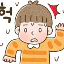 아이와이즈주 이미지