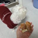 제리식탁 이미지