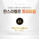 한스미