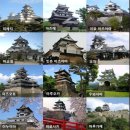 커브라인 이미지