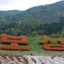 첫눈에반하다 이미지