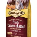 러브캣 | 메인쿤 변비 고민, 카니러브캣으로 해결했어요 🐾