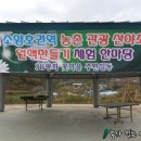 38평화꽃마을