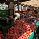 과일향 민박 이미지