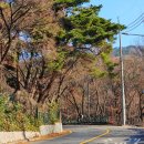 삼청테니스장 테니스장 이미지