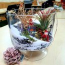 원예 테라리움 이미지