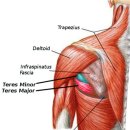워너짐 부산대점 이미지
