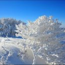 덕유산(통영) 이미지