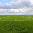 옛고구려 이미지