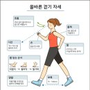 바른자세골격교정