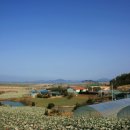 그대안의 풍경 이미지