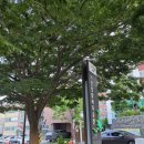 어린이 생활체육 | [15분도시 부산] 기장생활체육센터 방문 후기