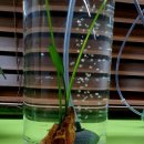 수출대로-22 이미지