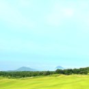 블루헤런 주식회사