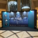 박종석 | 2026 국립발레단 백조의 호수(안수연,박종석,양준영)/예술의전당 오페라극장 2층 C블록 1열 3번 시야...