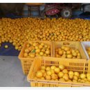 석전농장 이미지