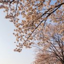 철산동 광성초등학교 앞 네이버블로그