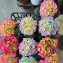 수산경로당 이미지