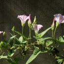 주식농장 이미지