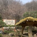 들어오시개 | 서울경기근교 반려견과 함께하는 양평여행 애견동반가능 메밀맛집 머무름&amp;댕댕이맛집 들어오시개 방문후기!