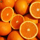 오렌지 농장 이미지