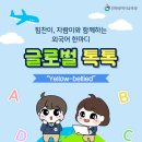 톡톡글로벌
