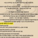 미니여관 | 제주 금능 해변 도보 1분컷 가성비 오션뷰 숙소 금능여관(미니 오션뷰 테라스)