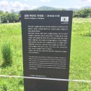 강화대로 이미지