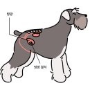 공간 포해락 이미지