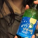 애견포차 | 여수 낭만포차에서 어디 갈지 모르겠다! 낭만포차 44번 리얼 후기 (애견 동반도 가능하데요!!)